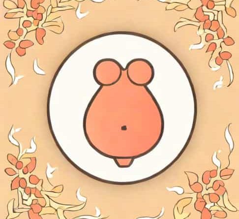 What Is Pendulous Abdomen In Pregnancy