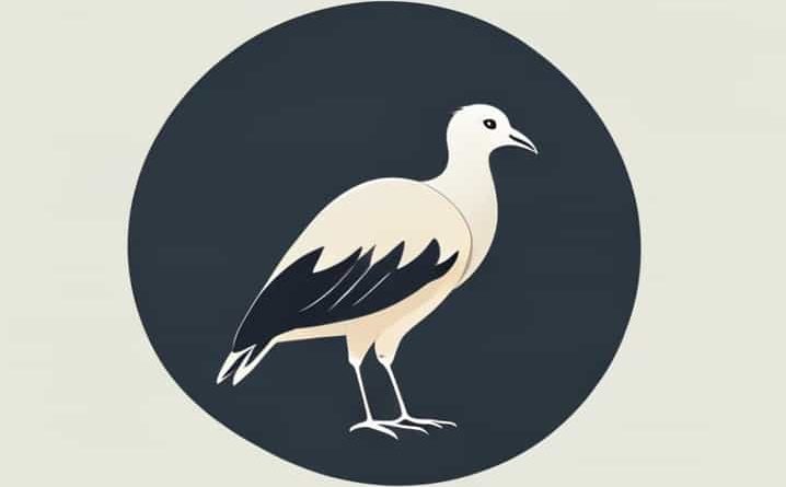 What Is The Name Of A Flightless Bird