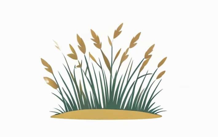 Who Is The Speaker In Sandburg'S Grass