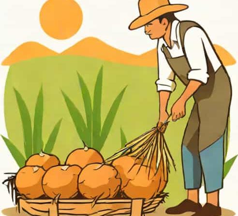 Yam Agrarian Reform Farmers Cooperative