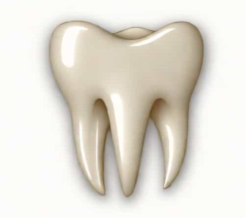 Deciduous Maxillary First Molar