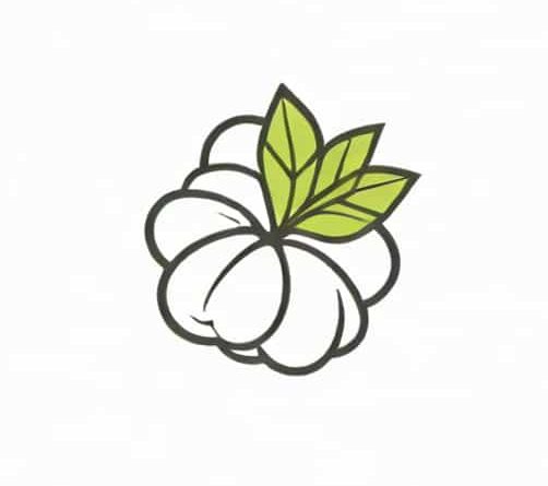 Does Cotton Shrink When Washed