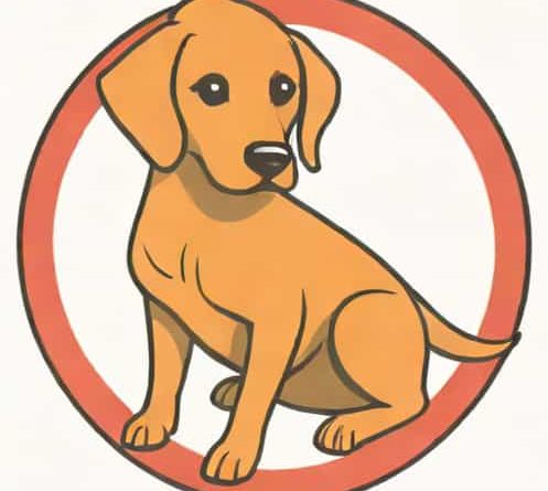 Heartworm Preventative For Dogs