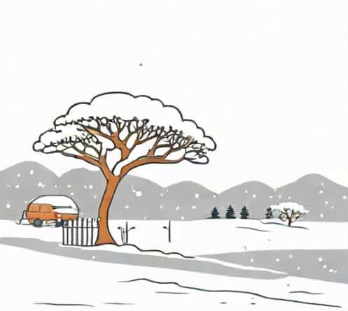 Heavy Snowfall In South Africa