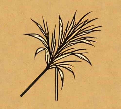 How To Get Flax Fibers In Muck