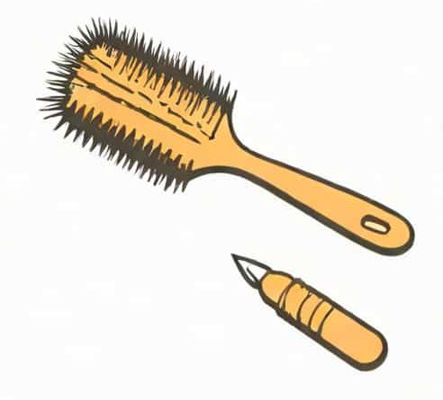 Long Handle Soft Bristle Brush