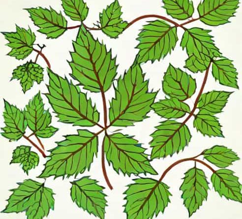 Lurid Lacquer Nettle And Briar