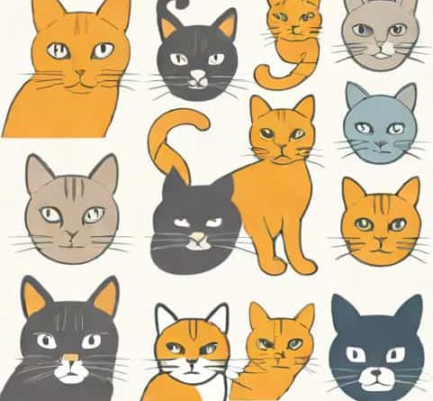 The Best Way To Introduce Cats