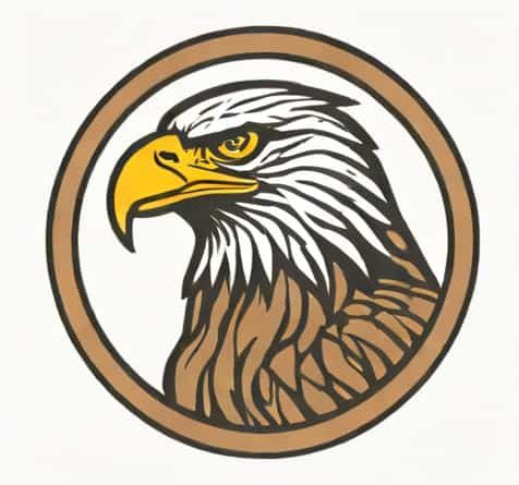 Us Steel Irvin Works Eagle Cam