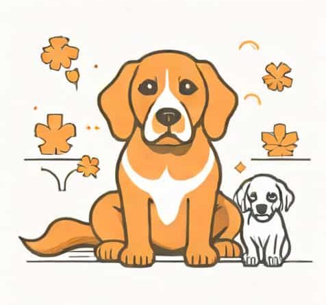 Vets That Cremate Dogs Near Me