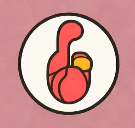 Why Heartburn During Pregnancy