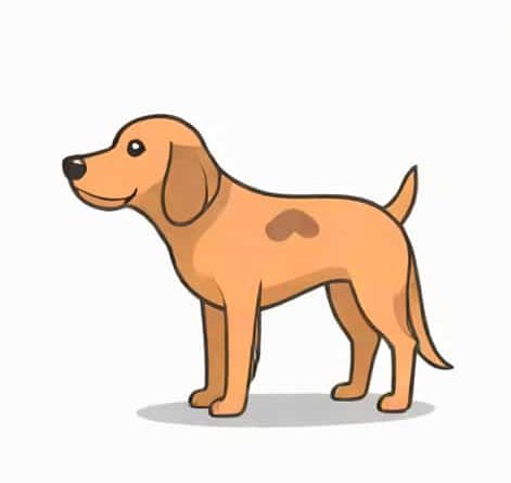 Why Is My Dog Shedding So Much