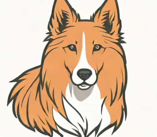A Picture Of Lassie