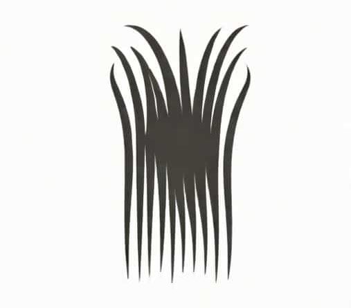 Are All Pubes Black