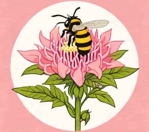 Bee Balm Balmy Pink