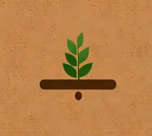 Home Depot Loam Soil