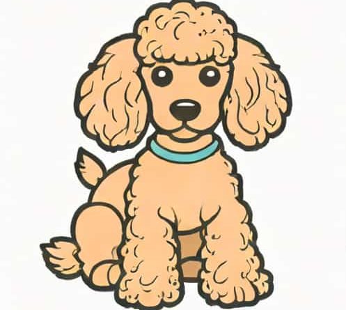 Is A Doodle A Poodle