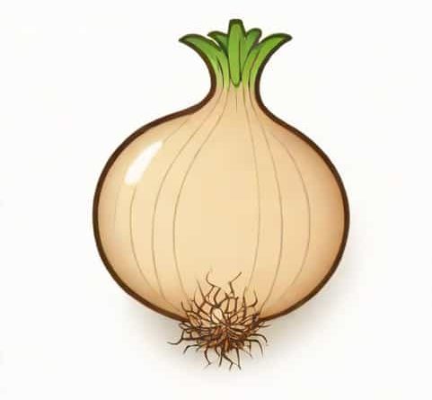 Onion High In Purine