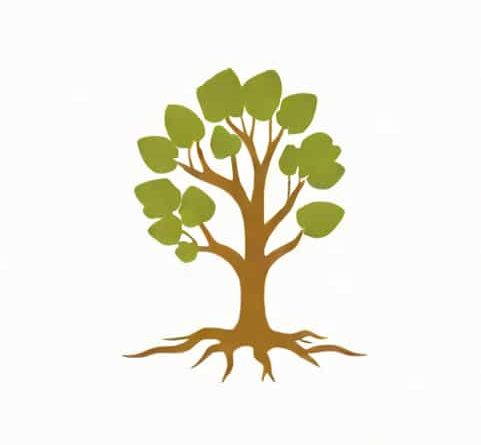 Root 2 Divided By 2