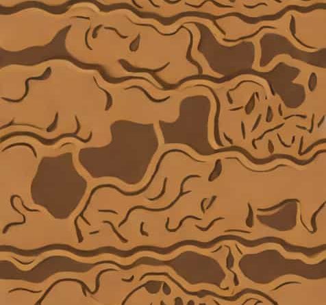 The Texture Of Soil
