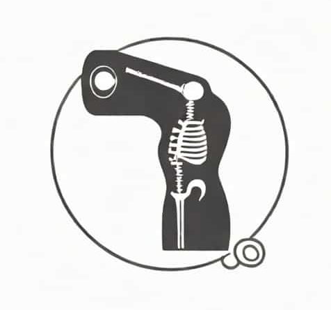 Uninsured X Ray Cost