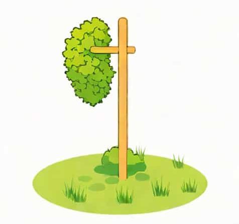 What Is A Moss Pole