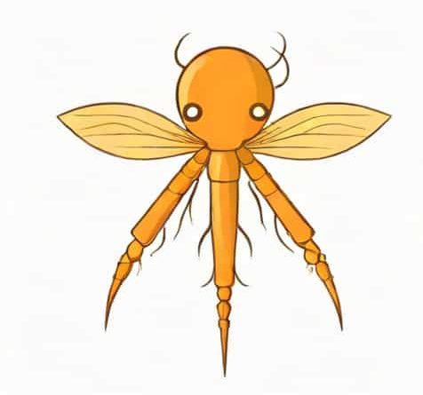 What Is Lambda Phage