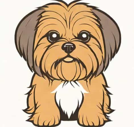 Yorkie Shih Tzu Mix