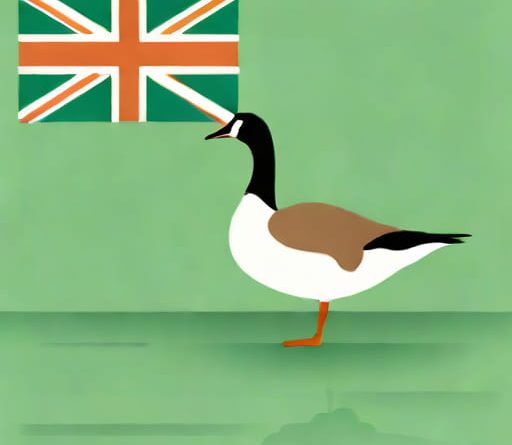 Goose Green Falklands