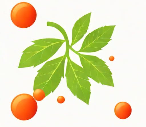 Vitamin K Coagulant