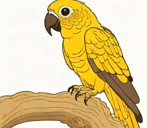 Yellow Dusky Conure