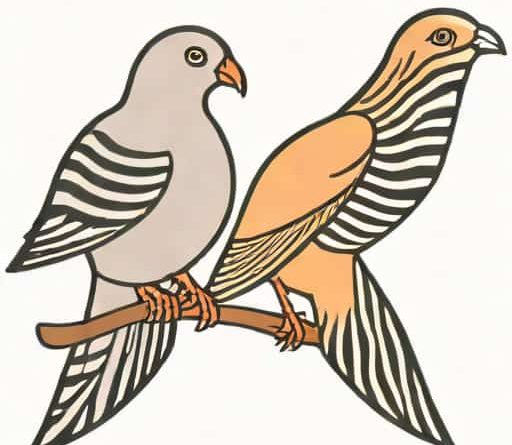Zebra Dove Vs Peaceful Dove